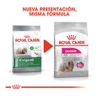 Royal Canin Exigent Mini pienso para perros, , large image number null
